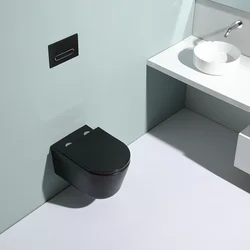 Wall hung toilet rimless toilet complete set wc suspendus
