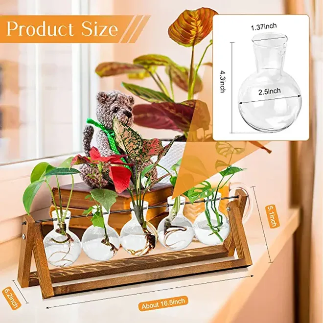 New Arrival Desktop Propagation Stations Planter Glass Vase for Tabletop Hydroponics Plants Dining Table Centerpiece Decoration