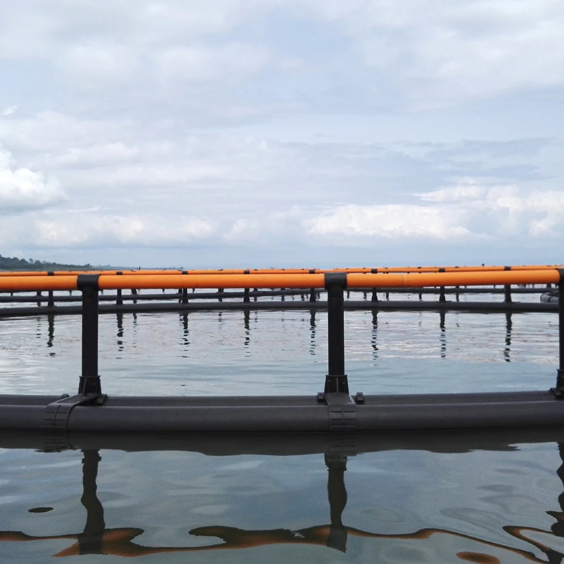 Инструменты для аквакультуры HDPE труба морской воды клетка разведения рыбы сеть-фонарь