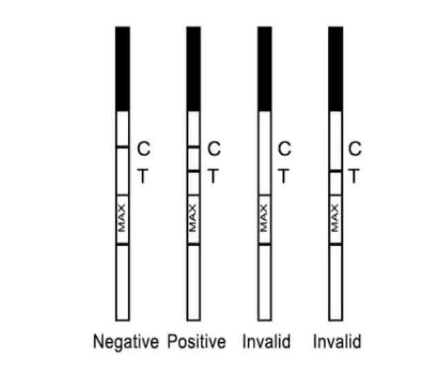 
HOT SALE Rapid HCV Test HCV Rapid Test Kit 