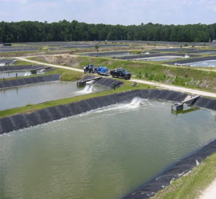 free sample PVC/HDPE 1.5mm thick waterproofing plastic geomembrane hdpe sheet for aquaculture pond liner