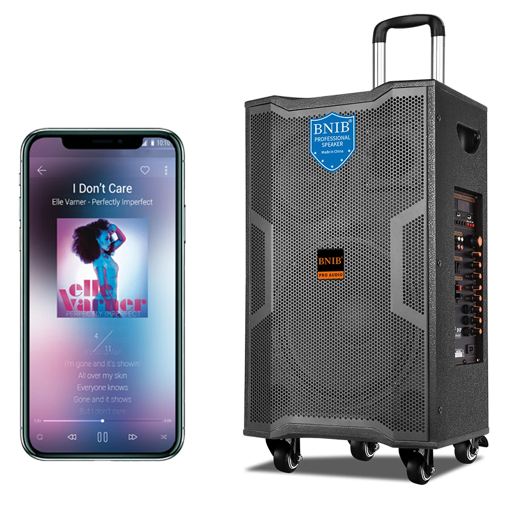 High End China Factory Sound Speakers Outdoor 15 inch Blue-tooth Speaker System OEM Trolley Boombox Battery Speaker With MIC