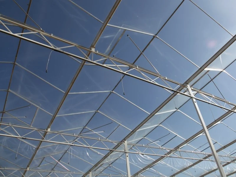 Venlo Commercial Agricultural High efficient venlo cheap intelligent agriculture multi-span glass hydroponic greenhouse