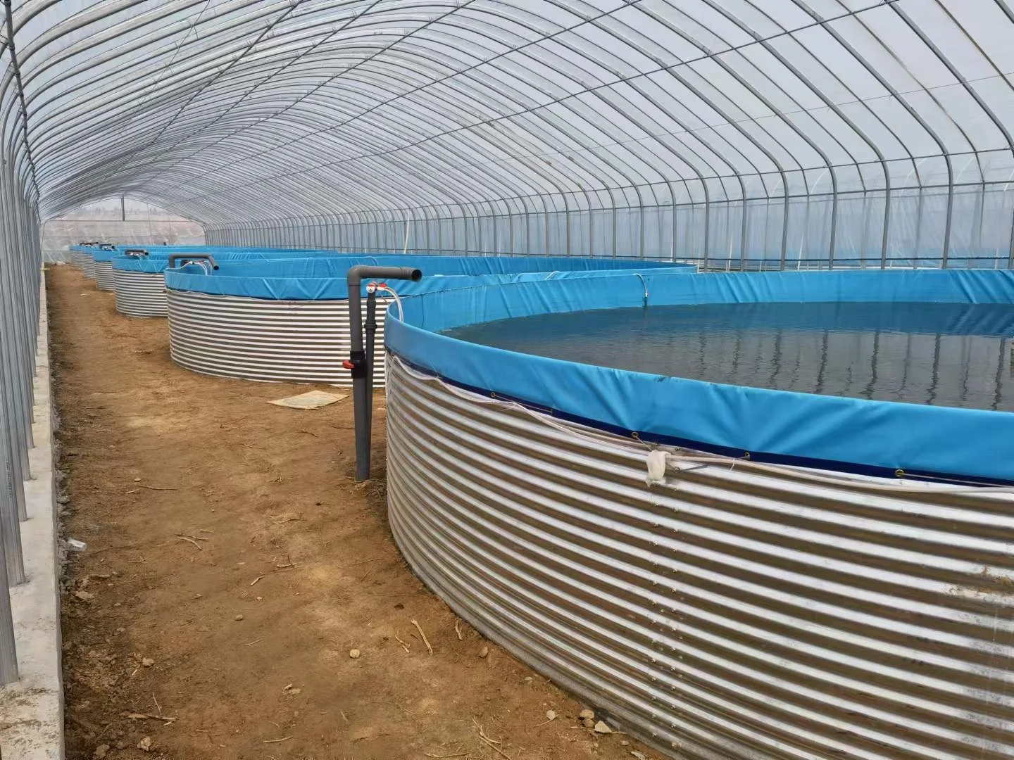Hot Sale Collapsible PVC Tarpaulin Fish Farming Tanks Indoor Outdoor Biofloc Equipment Ponds