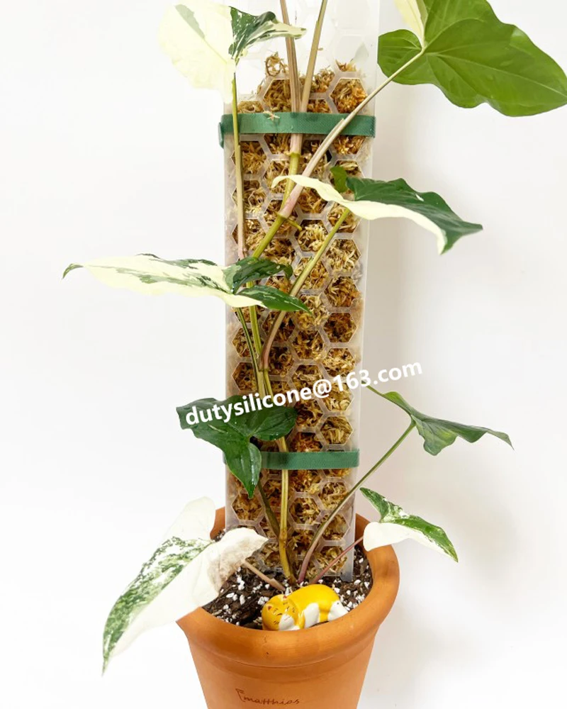 Reusable Hook And Loop Fasteners plant Velcro tape ties for Plant fixed