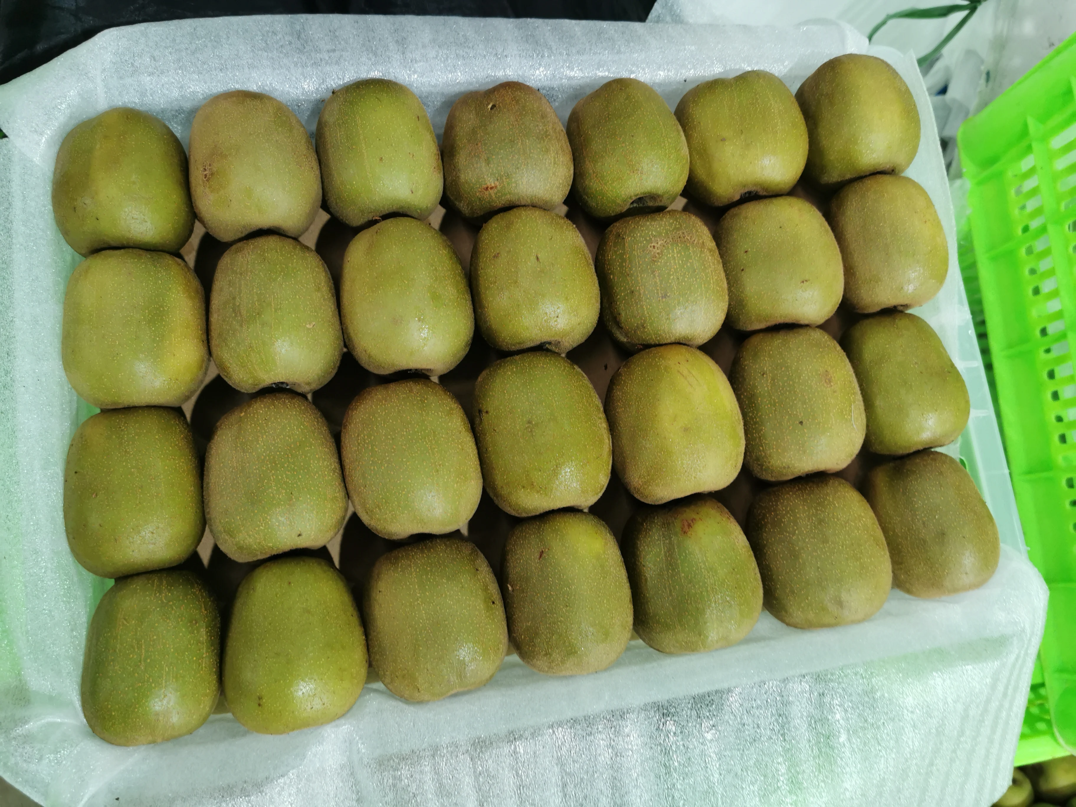 Fresh kiwi fruits orchard supplier in China Premium Green /Golden /Red kiwi for export