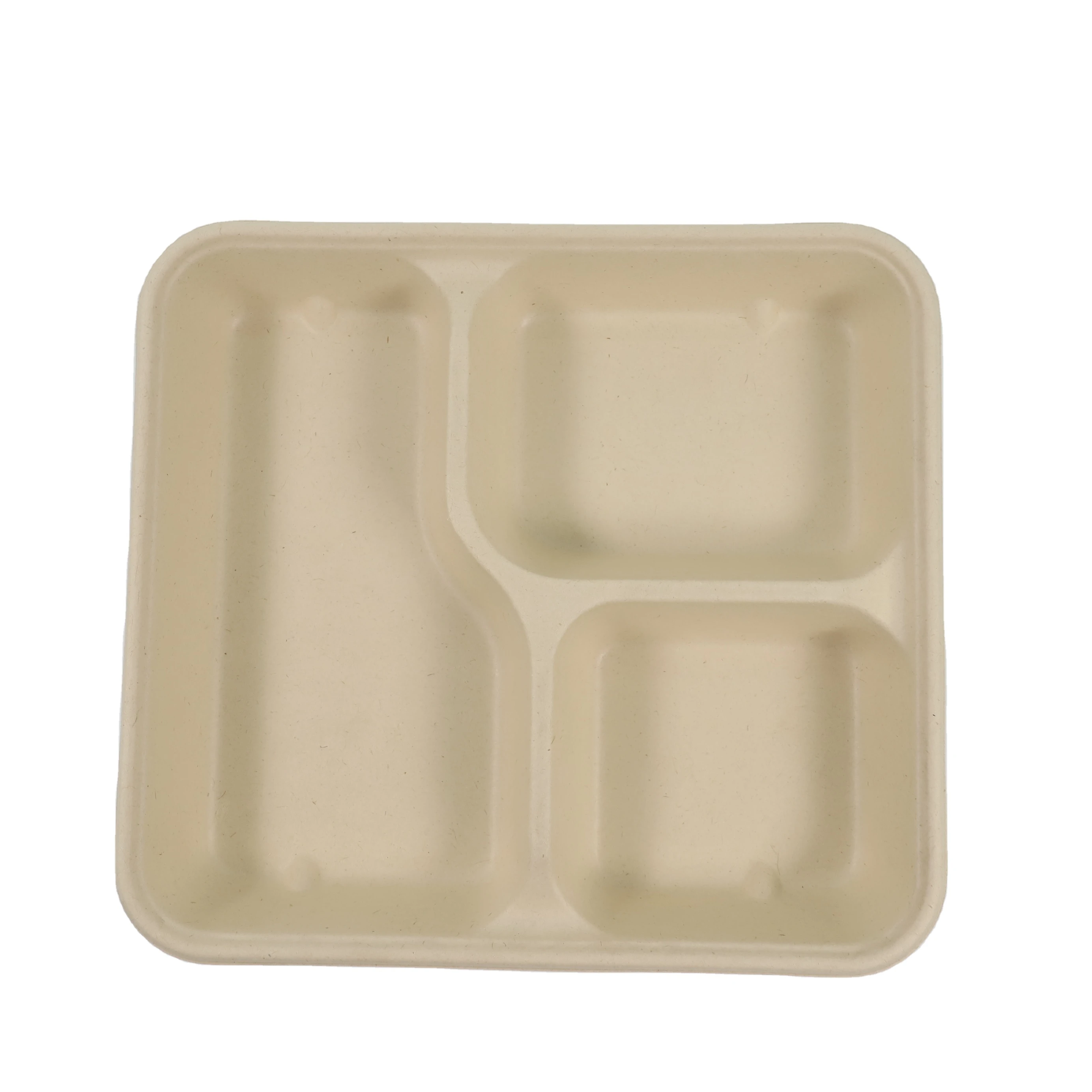 Machine-Made Disposable Tableware Tray Bagasse Material Party Disposable Container Tableware for Eco-Friendly Paperless Parties