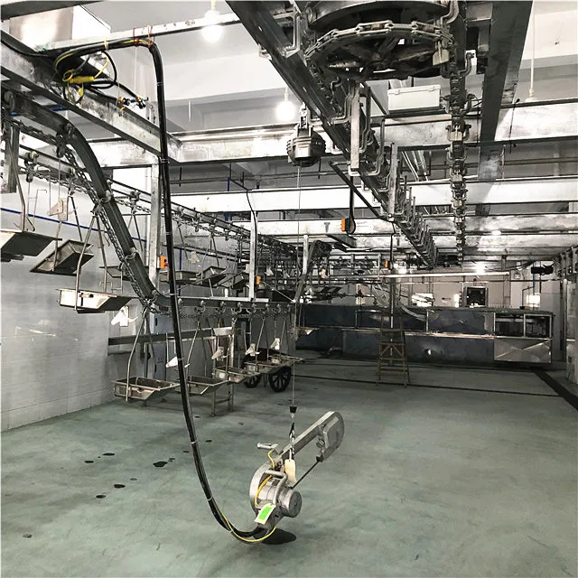 Turnkey Abattoir Swine Slaughtering Line With Pig Meat Processing Cutting Butcher Equipment