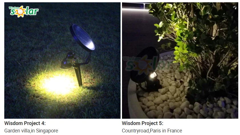 paste-pic-dp_uuid_wba9s