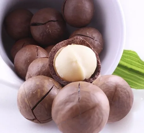 High quality grade macadamia nuts for sale (Nafoods)