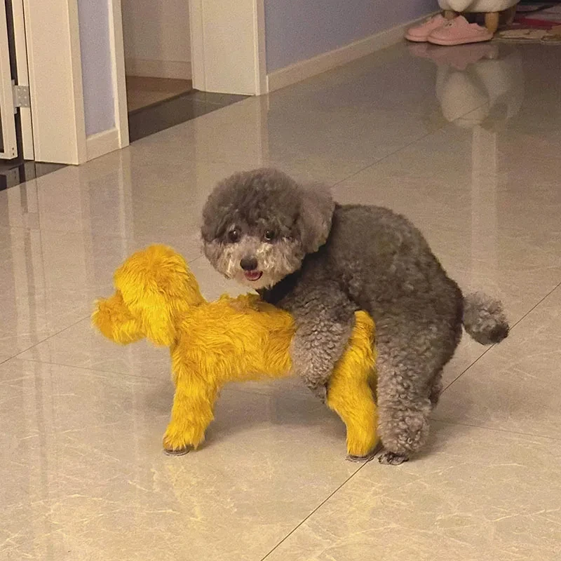 Sleep Estrus Dog Toy Simulation Mating Toy Plush Poodle Vent Fire Oestrus Partner Mating Sexual Pet Sex Toys For Dog