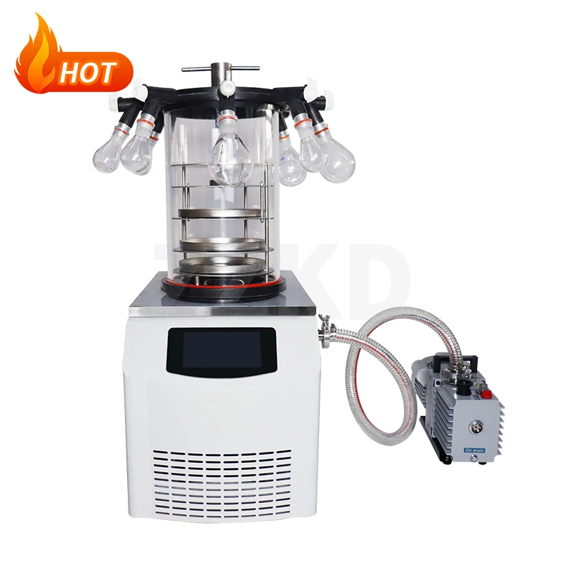 Manufacture Price FD-10N Benchtop Lab Home Use Freeze Dryer Lyophilizer for Sale