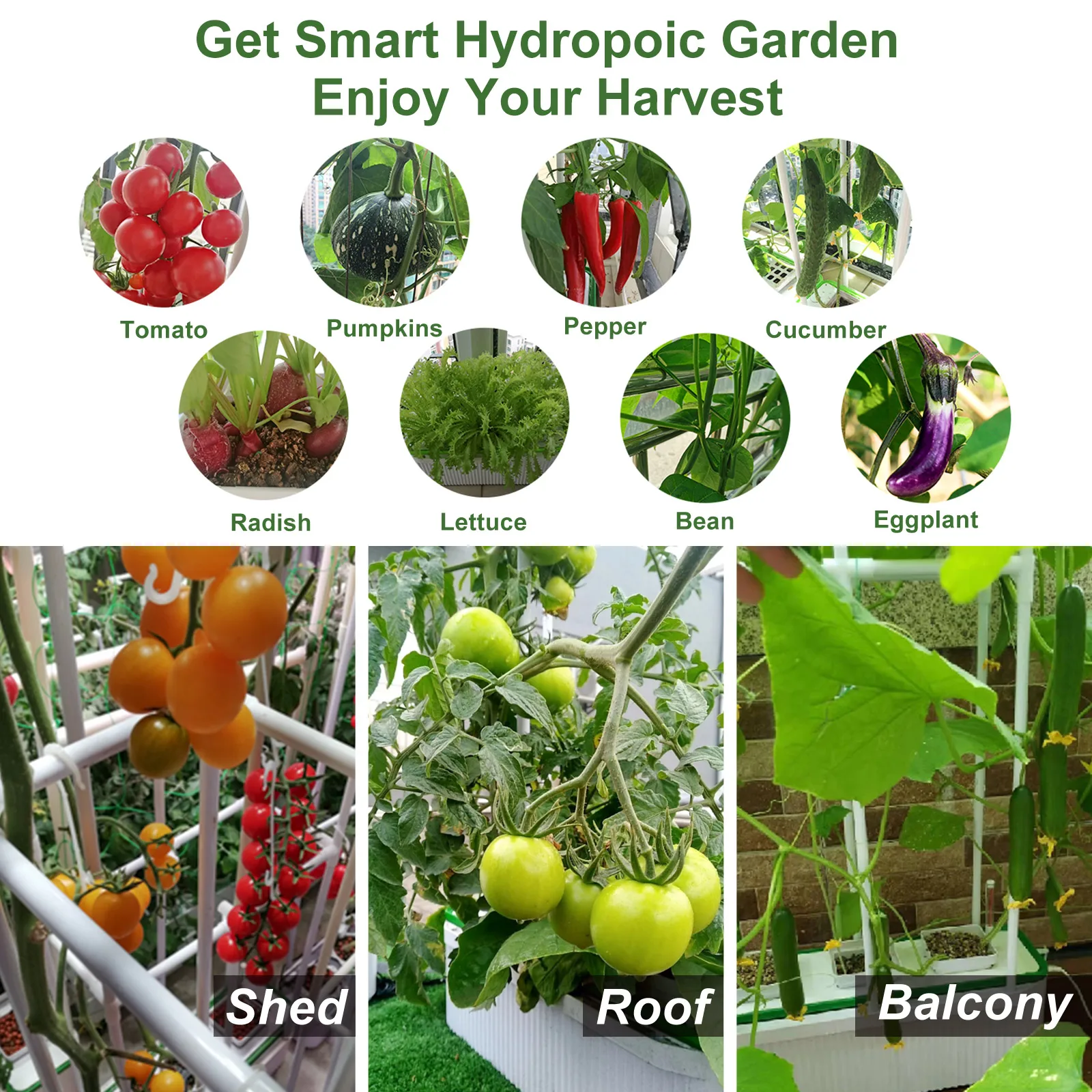 Hydroponic Growing Systems Strawberry Indoor Equipment Kit Tomate Hydroponic System Home Kitchen