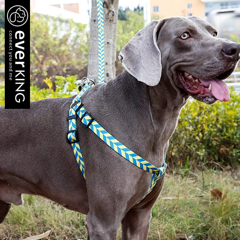 Pet Leash, dog leash, medium-sized large dog leash dog collar