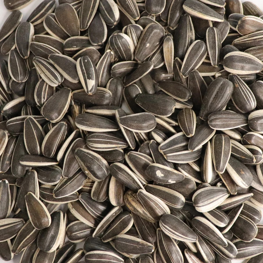 Natural Growth Sunflower Seeds 361 Chinese Sunflower Seeds A Ton Price Sunflower Seeds Raw