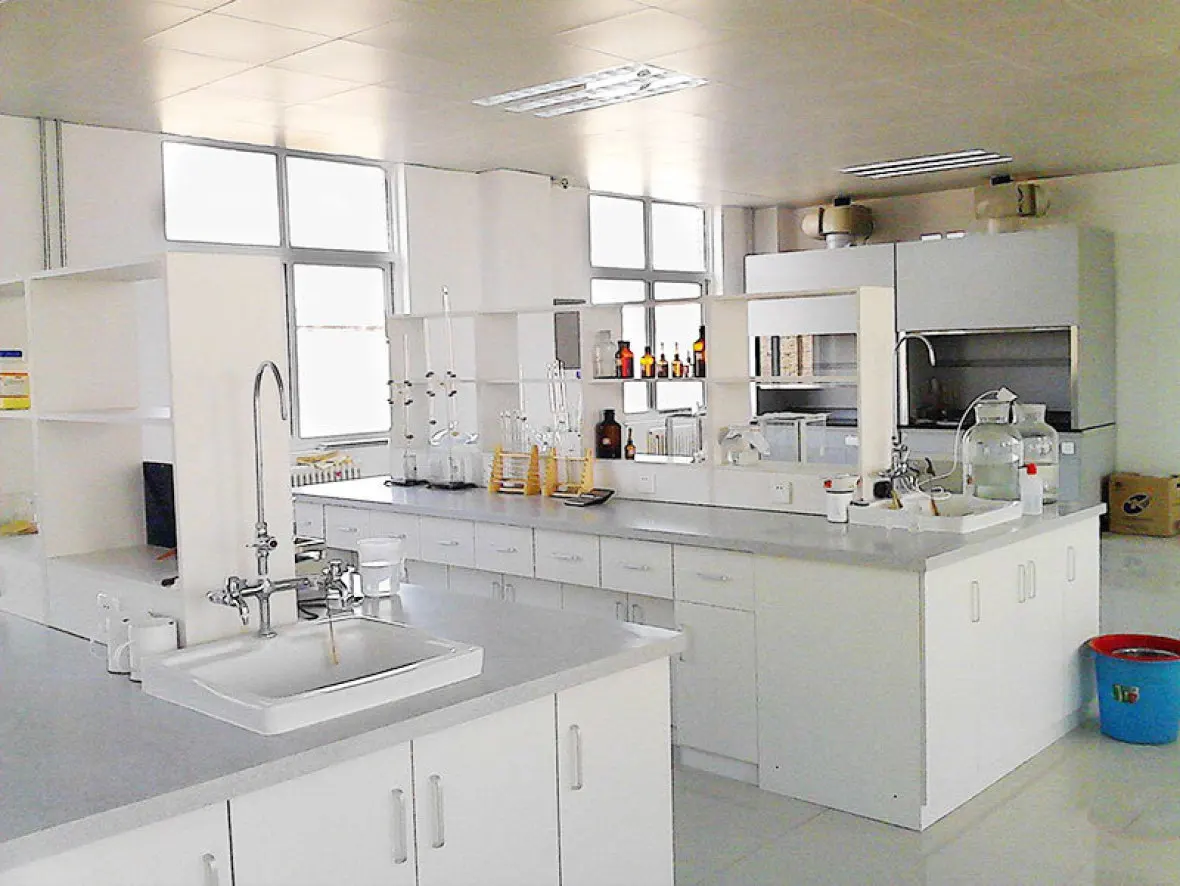 Waterproof Mortar use Polymer Rdp Redispersible Powder