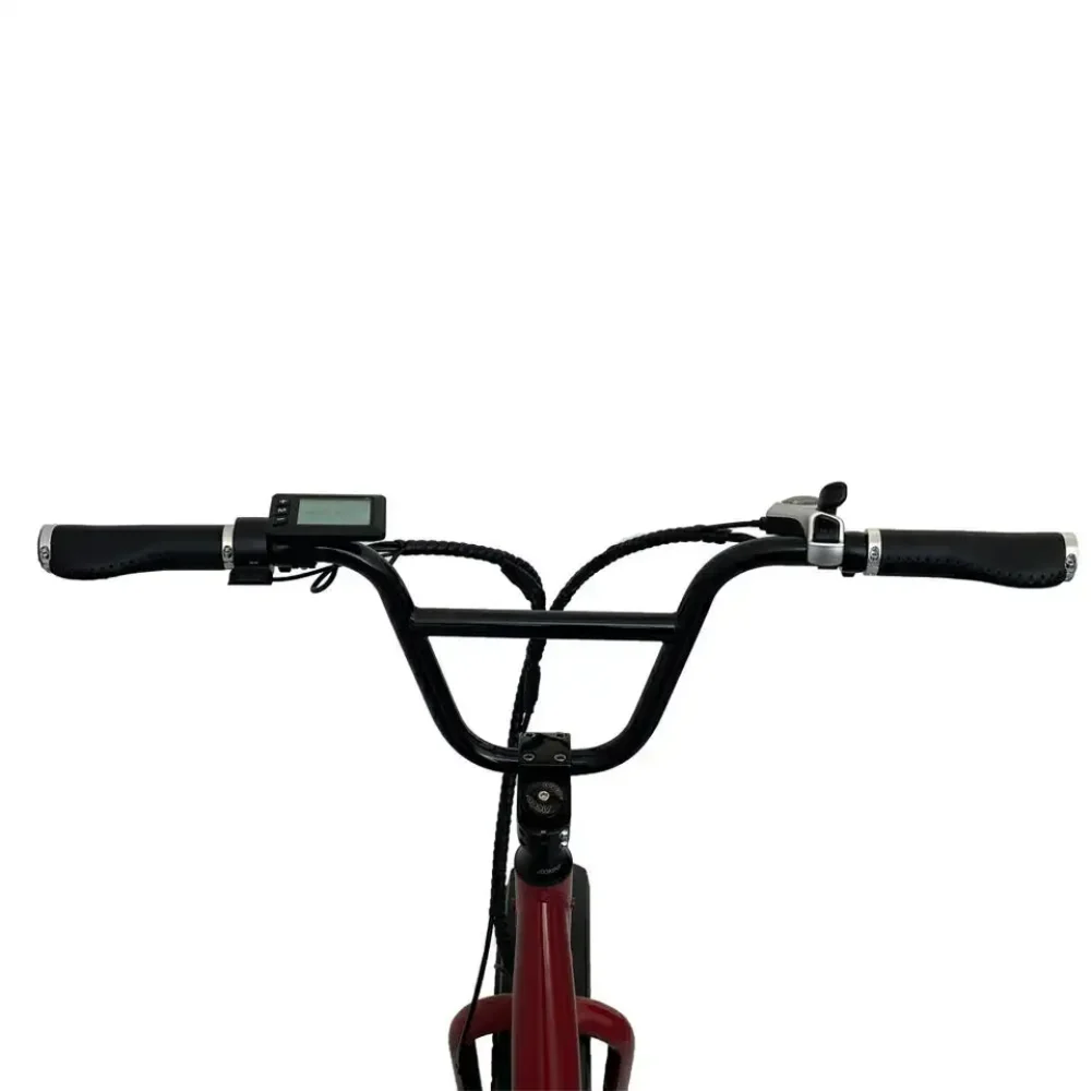 48V 20A intelligent controller Customized LCD Display Mini Cargo Bike