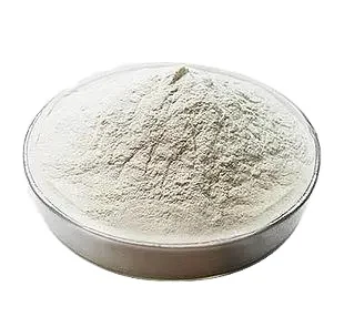 100% Natural  Food Grade Vegan Agaricus bisporus chitosan  Mushroom Chitosan Powder raw materials all spec wholesale