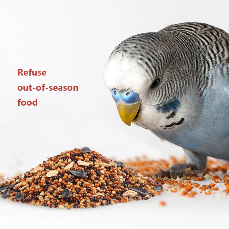 Pet Supplies OEM Custom Bird Food Treats Snacks Birdseed for Parakeet Budgie Lovebird Parrot Curlew Canary Canaries Roses Pigeon