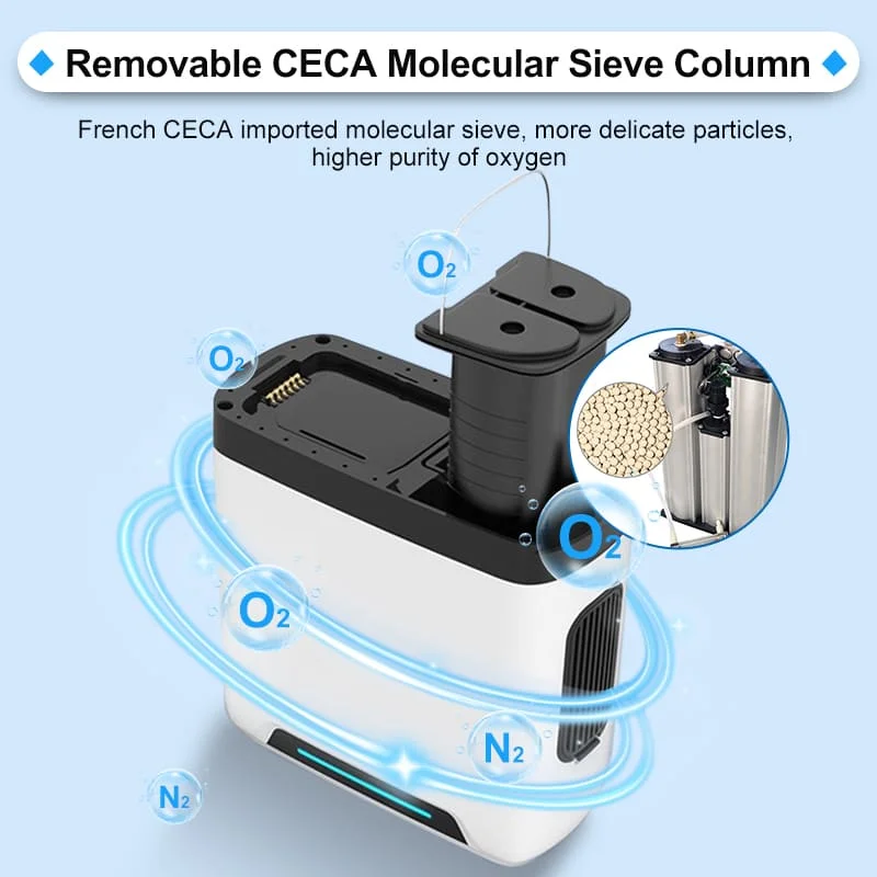 Olive Home PSA Sieve Portable Concentrateur Doxygne Portatif Pulse Oxygen Generator Machine Mini 5l Oxygene Concentrator Small