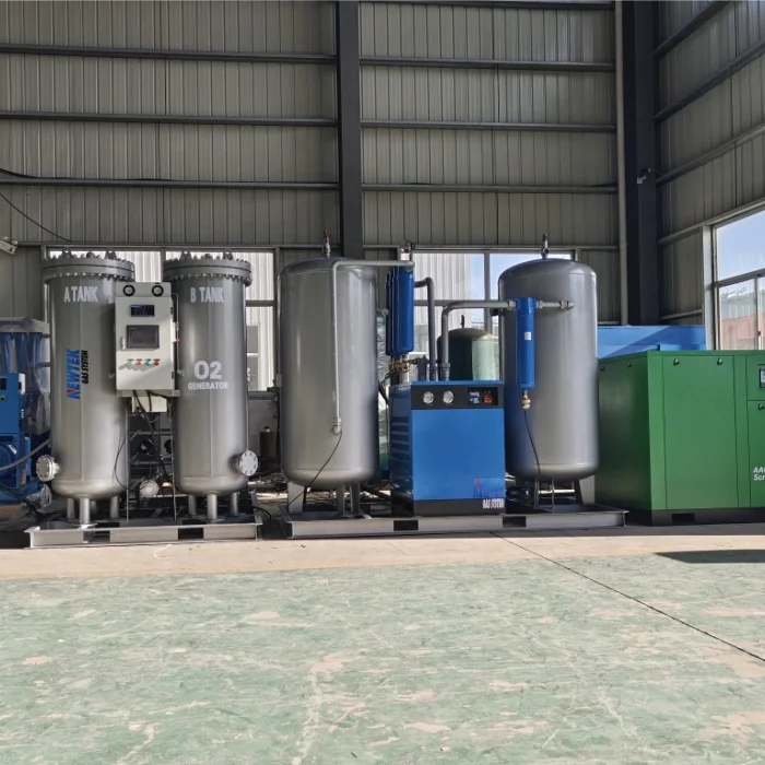 10Nm3/hr Gas Generation Equipment Oxygen Plant high performance made in china with 2 years warranty