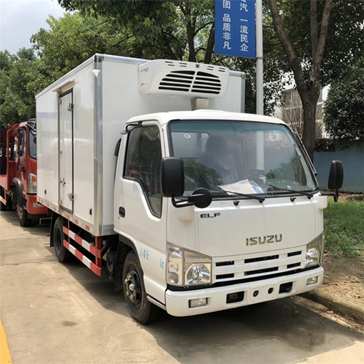 Japan brand 4x2 Mobile Food Freezer Van Refrigerator Truck For African Market