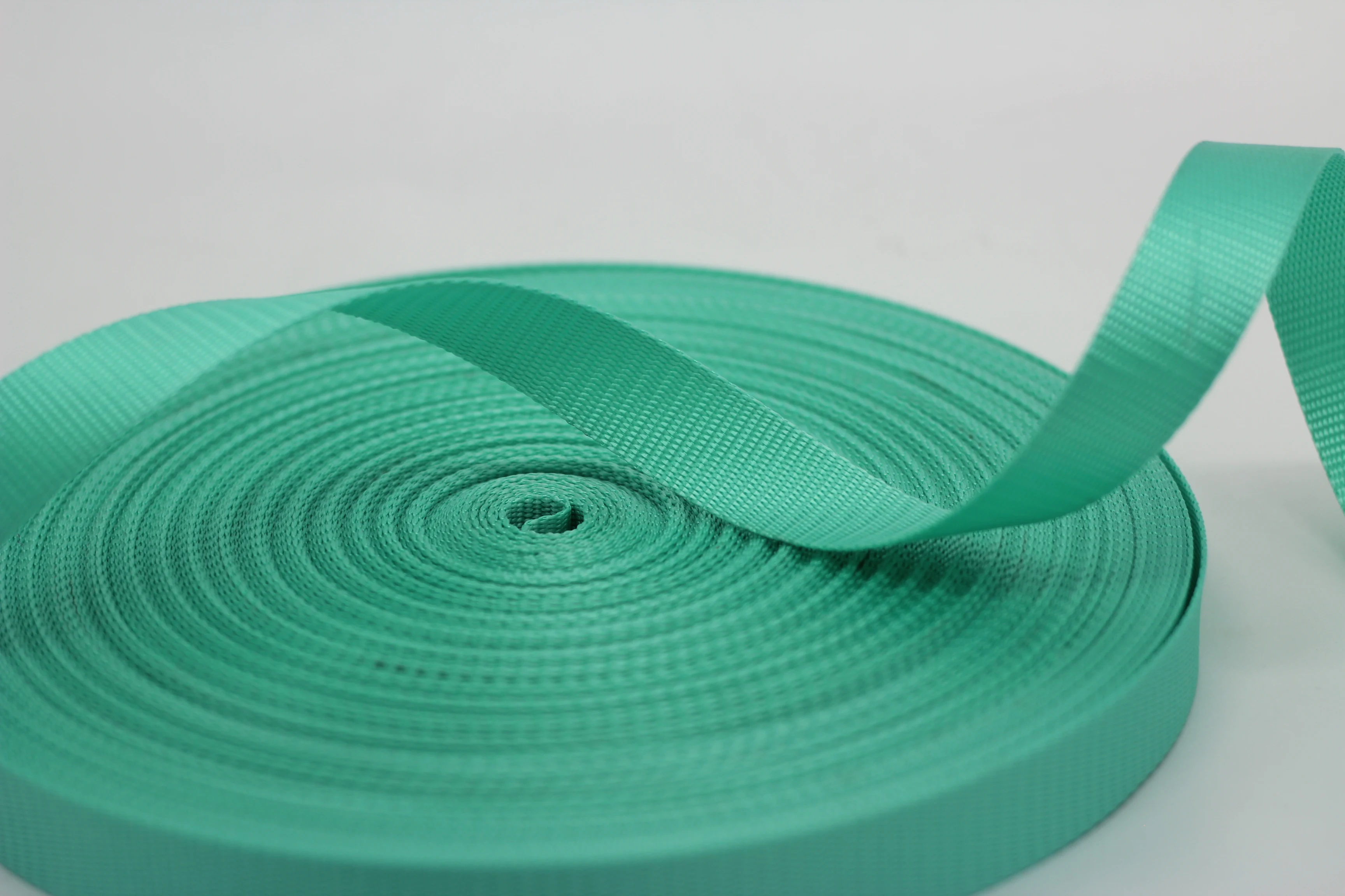 Wholesale Polyester Webbing Tape imitation nylon Thicken Polyester ribbon binding belt