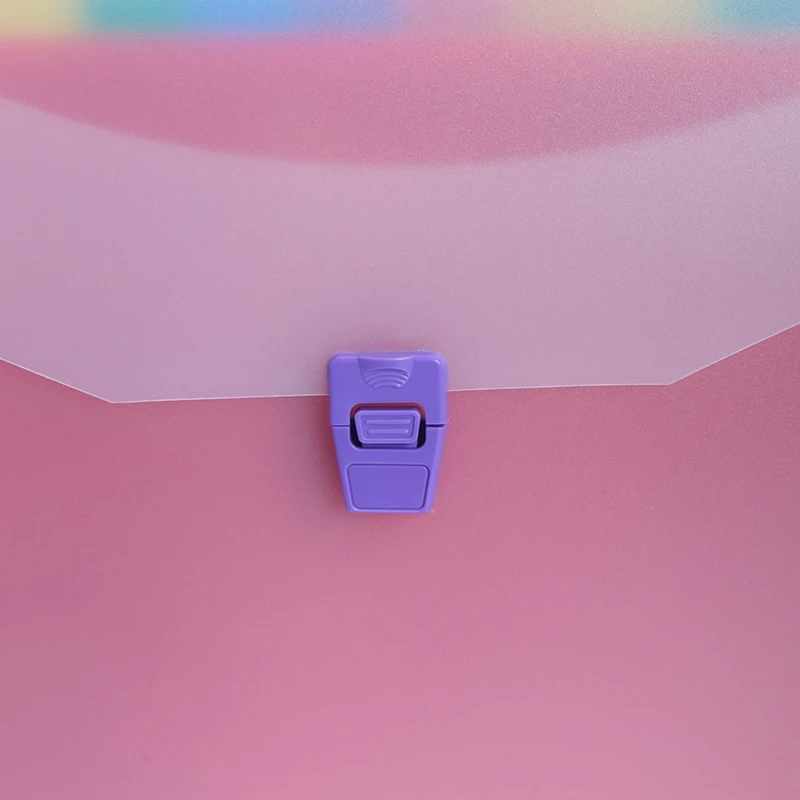 Wholesale High quality Plastic 24 Pocket A4 Size Expanding File Bag with Plastic Handle and Buckle for Office Supplies School