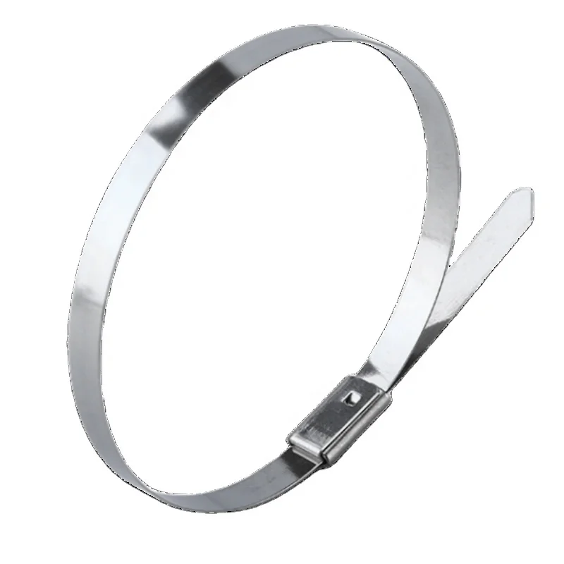 Self Locking Stainless Steel Tie 304 Tensioner Metal High-Temperature Resistant Binding Clamp High-Strength Iron Tie Wire