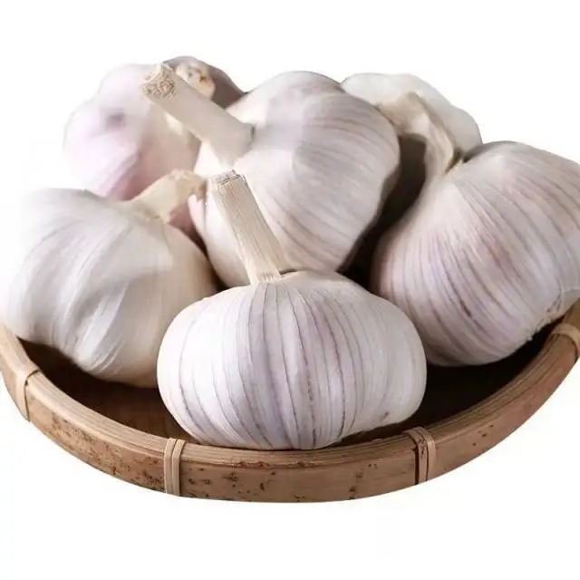 Superior quality fresh onions for cooking garlic seasonal high-quality garlic