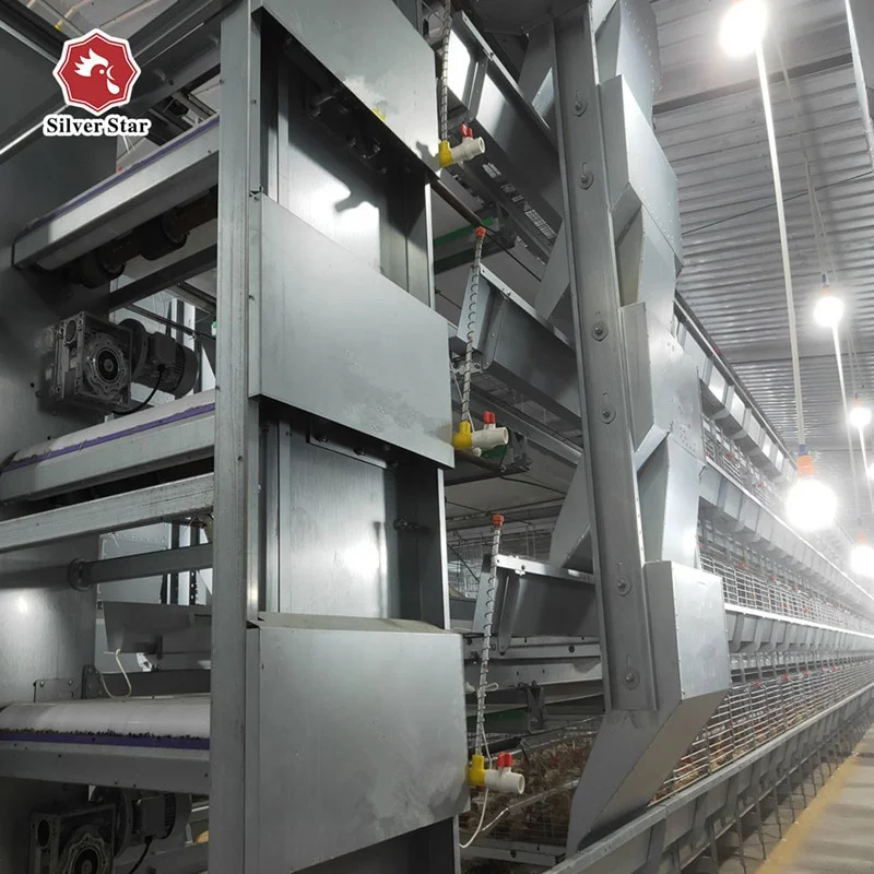 A type broiler raising chicken cage with poultry house design