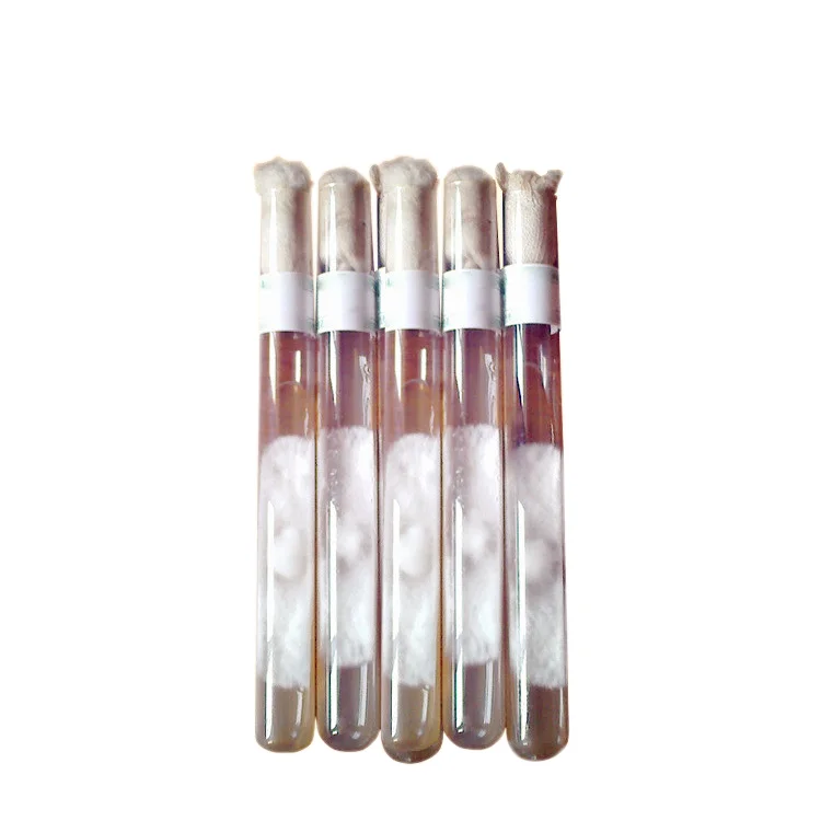 Oyster mushroom original mycelium edible fungus liquid culture spawn