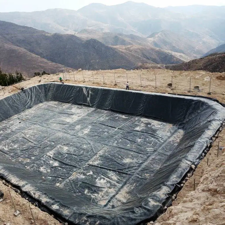 0.5mm 0.75mm 1mm 1.5mm Fish Farm Pond Liner Geomembrane iner good Price Dam Liner HDPE liner