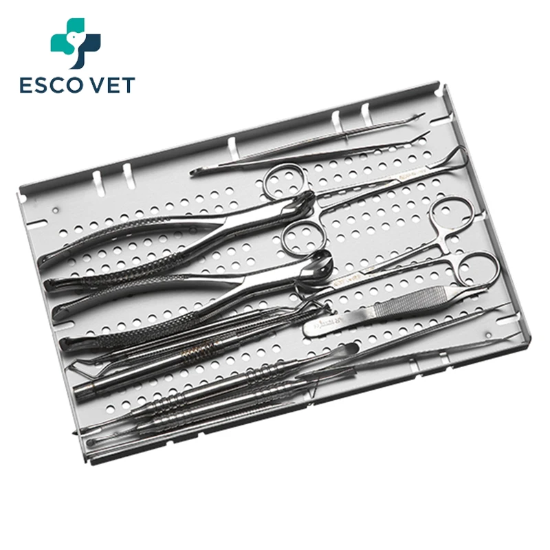 Esco Vet Hot Selling Portable Mini Autoclave Dental Class b 3l Autoclaves For Sterilization