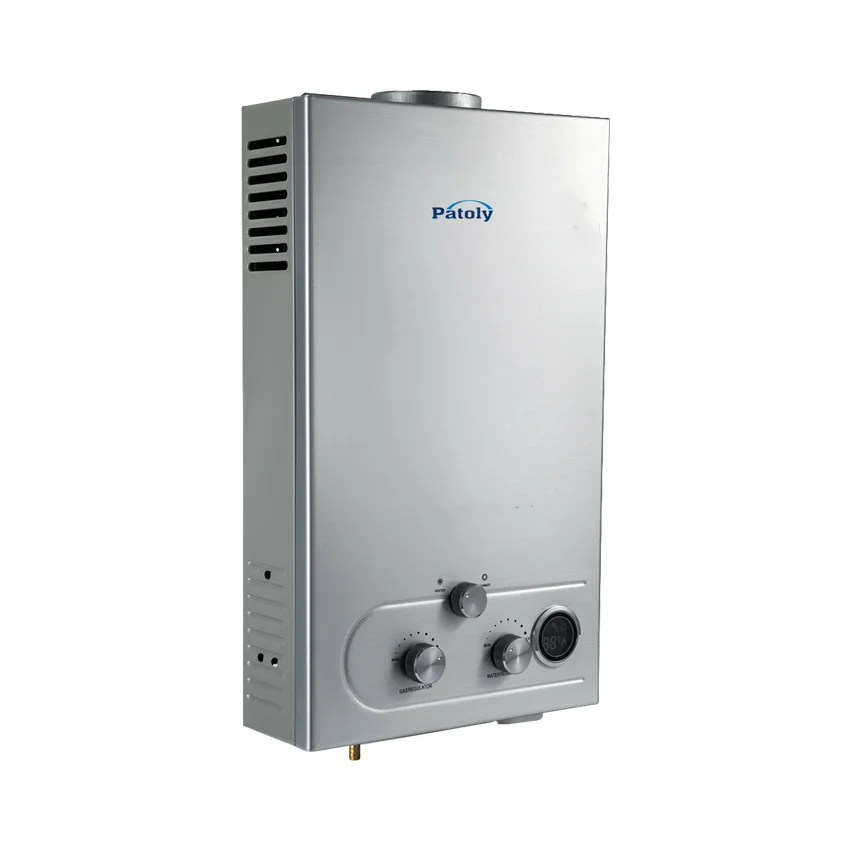 Professional manufacturer 6L 8L 10L 12L household instant gas water heater flue type lpg gas boiler tankless domestic gas geyser