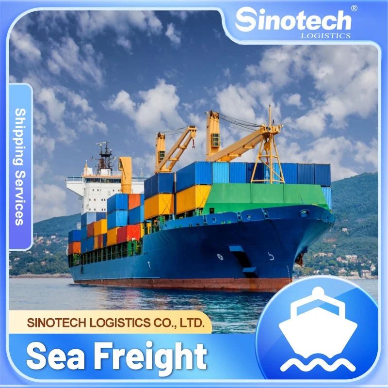 DDP DDU Freight Forwarder Sea Shipping Cargo Freight From China to Southeast Asia, Vietnam, Indonesia, Singapore Door to Door