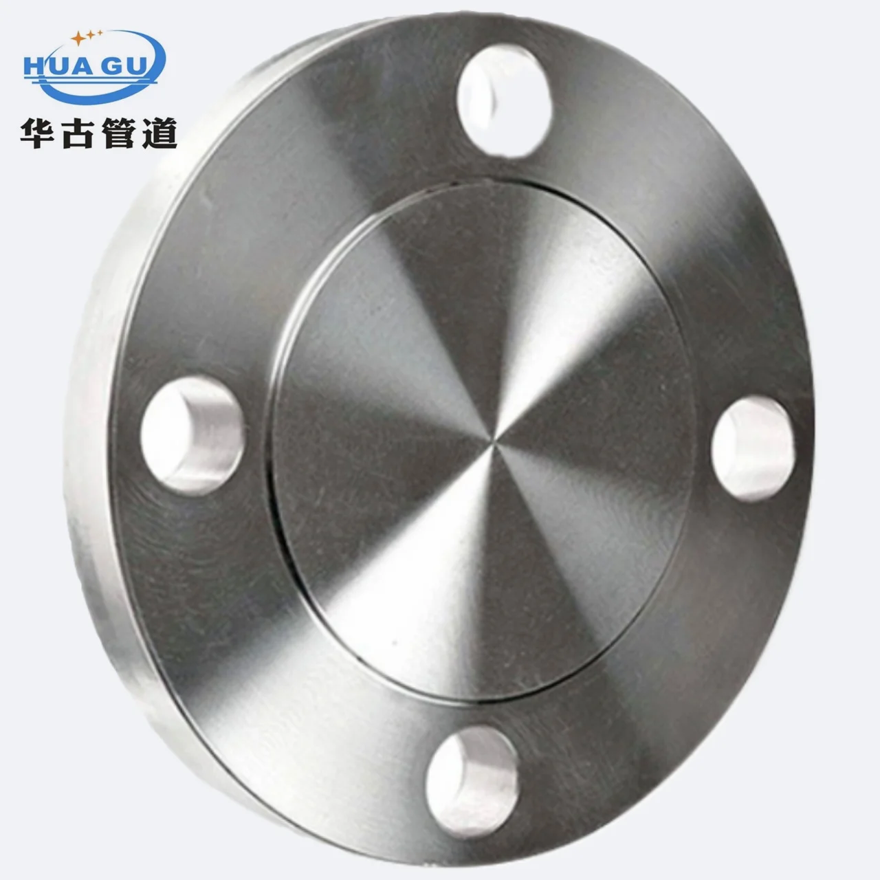 WP316L/304L Stainless Steel Forged Flange WN BL so LJ SF Types with FF RF MF FMF MT23 A105 Alloy Material Weld Neck Blind Flange