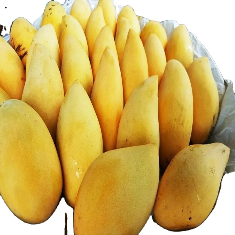 
High Quality Fresh Mangos Fruit Sweet Namdokmai from Thailand 