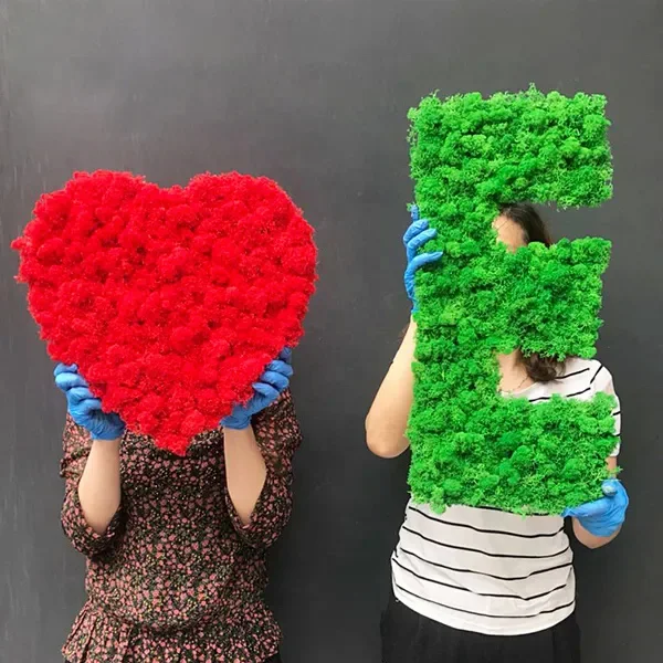 Yunnan Factory Wholesale Natural Bulk Reindeer Musgo Plants Preserved Moss Panel Stabilized Moss Art Wall Decoration