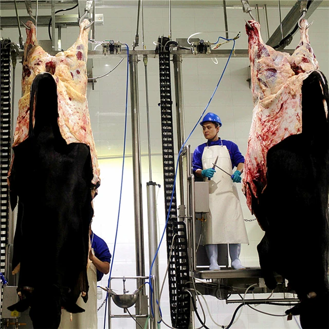 Kosher Meat Processing Beef Slaughter House With Cow Cutting Butcher Abattoir Equipment