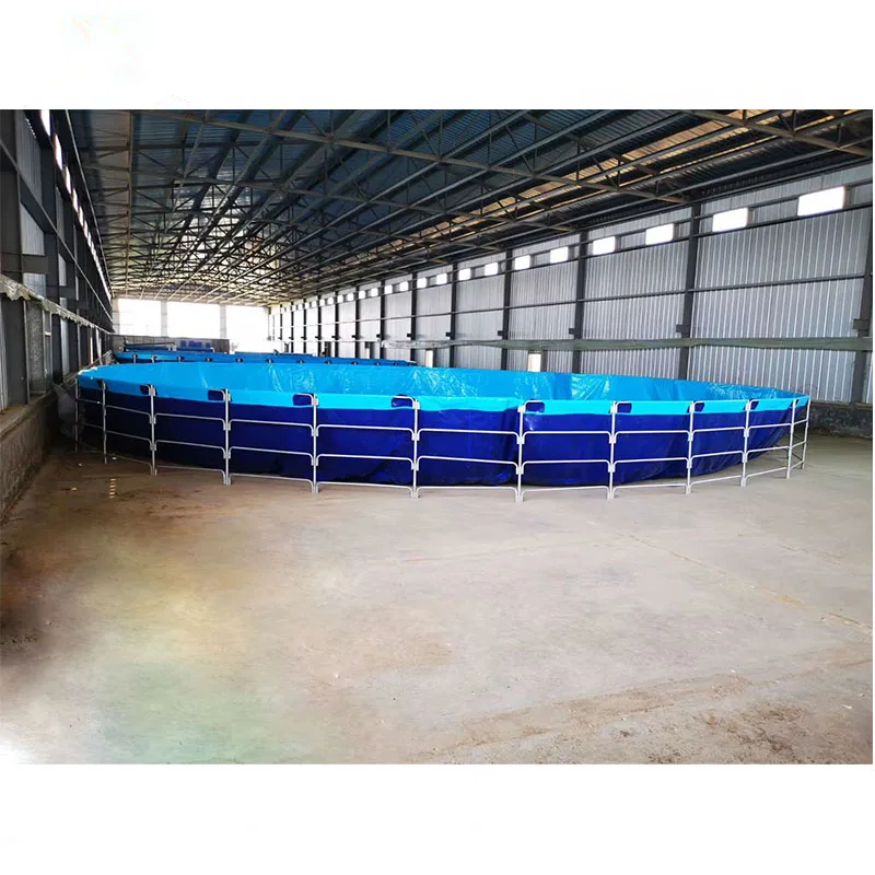 RAS indoor fish shrimp farming equipment Ras indoor recirculating aquaculture system equipment,indoor fish farm for high density