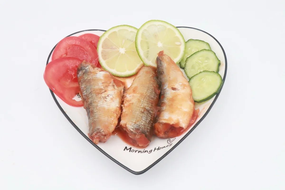 Factory price canned sardine in tomato sauce/Fish canned sardines