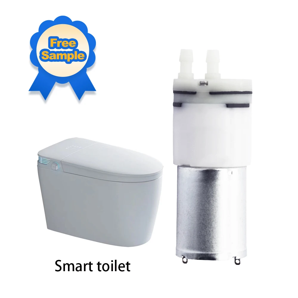 High pressure micro dc pump dc 12v dc automatic micro water spray pump electric membrane water pump