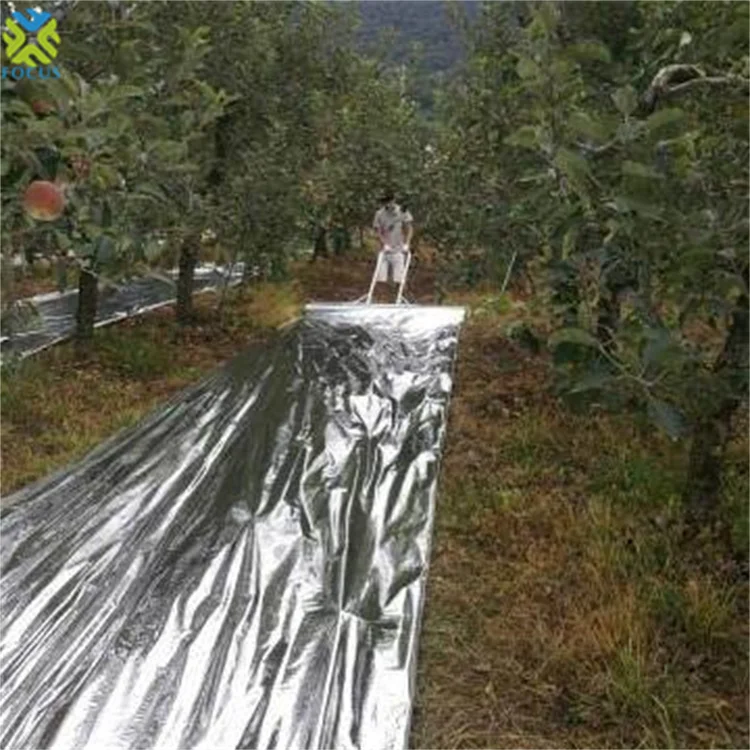 Солнечная светоотражающая пленка из лавсара рулон пленки ПЭ для сельского хозяйства