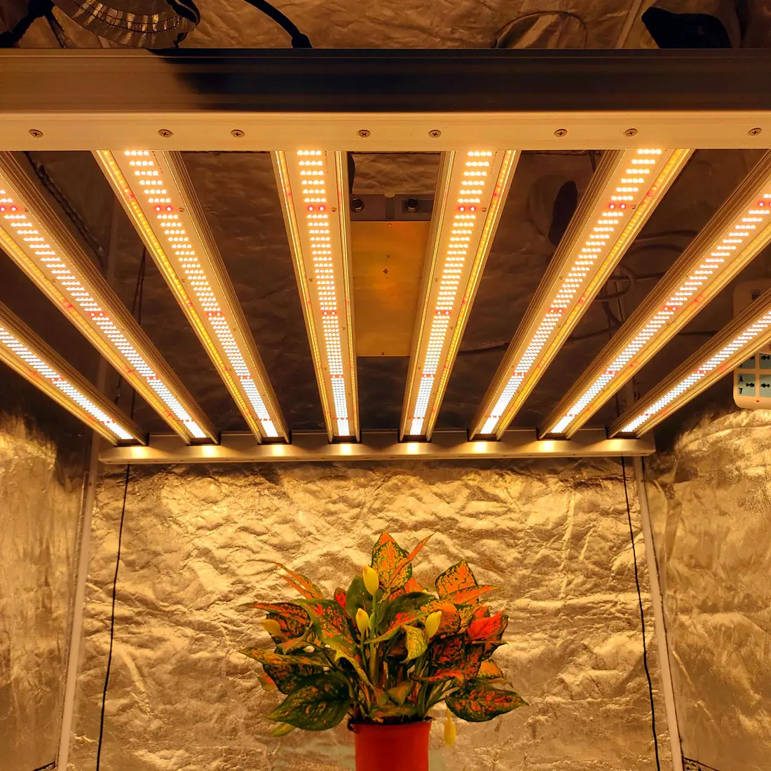 Maaadro 650w Lm301b 3000k 660nm Lm301b Lm301h Citizen Ks 650w Led Grow Light Discount Lamp Led Culture Hidroponic