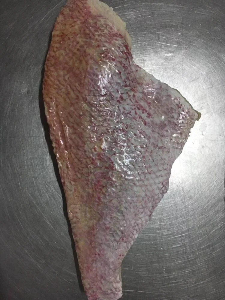 Good Sale from Indonesia Frozen Red Snapper Fillet