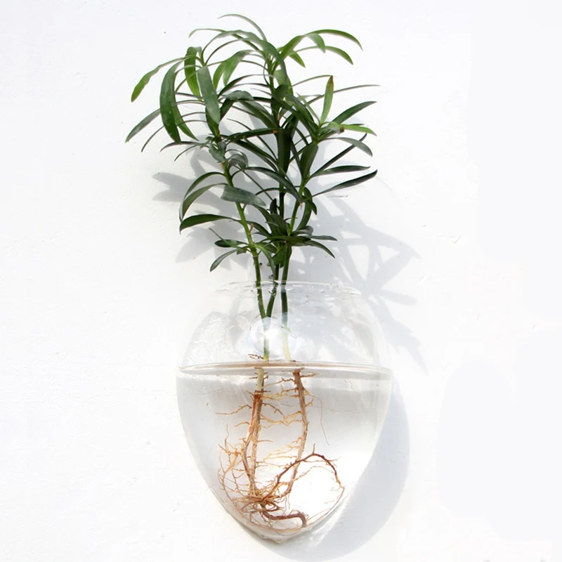 Wall Planter Propagation Stations Hanging Glass Terrariums Vase Container for Propagating Hydroponic Plants Flowers Home Office