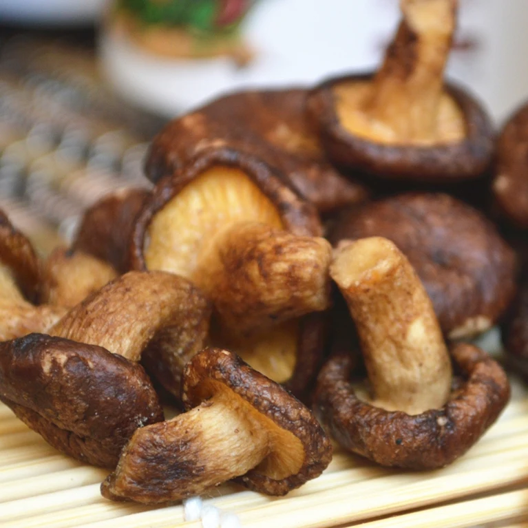 Поставка от производителя мгновенные продукты грибы Shitake вкусные закуски сушеные Shiitake