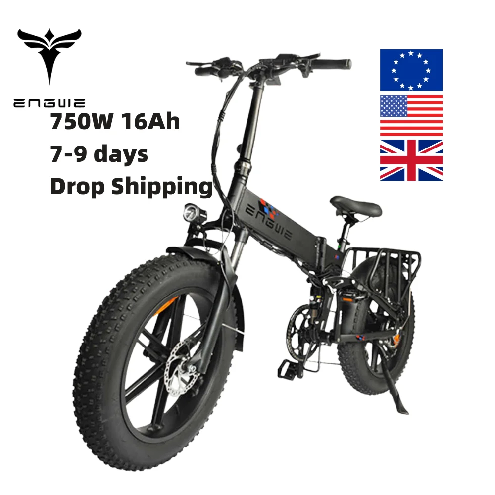 EU Ready to ship warehouse Engwe Upgrade Design Performance 48V 16Ah 750W Electric mountain ebike bike Bicycle engine pro