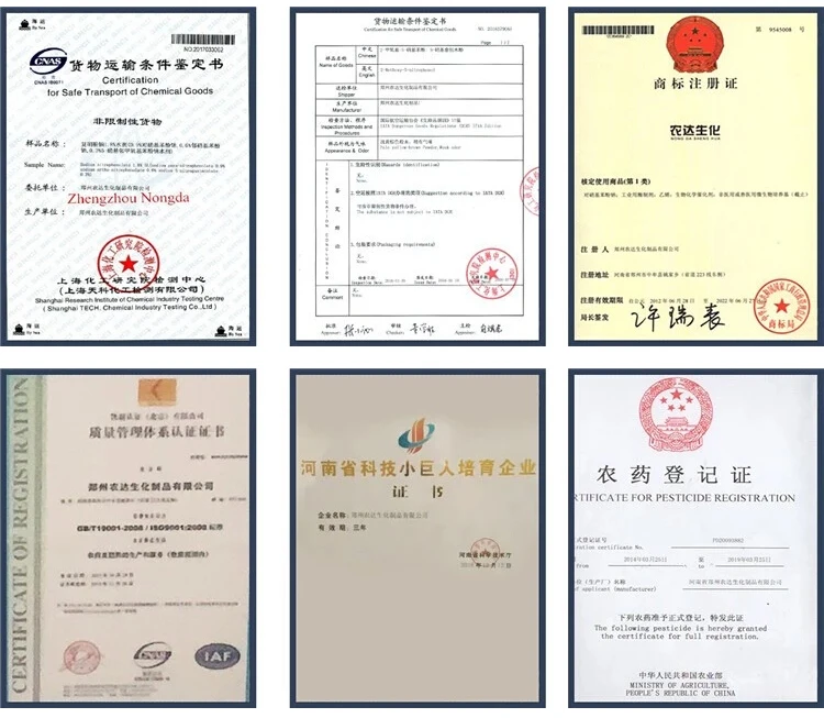 Popular Solvent Maleic Hydrazide 99.0%min CAS.123-33-1